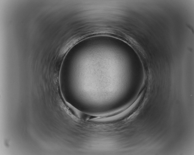 X0000099530985200805231058