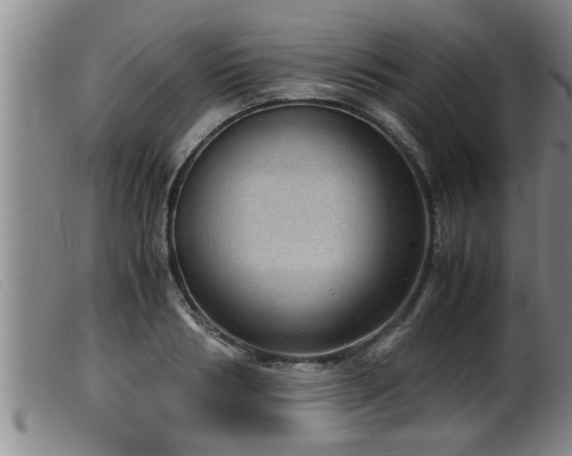 X0000099530986200805231058