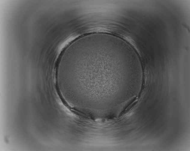 X0000099530987200805231058