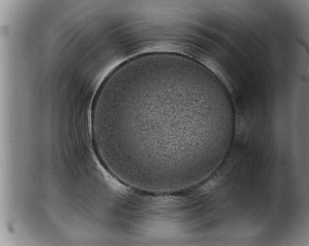 X0000099530988200805231058
