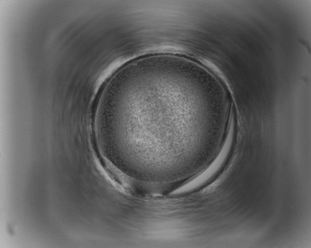X0000099530989200805231058