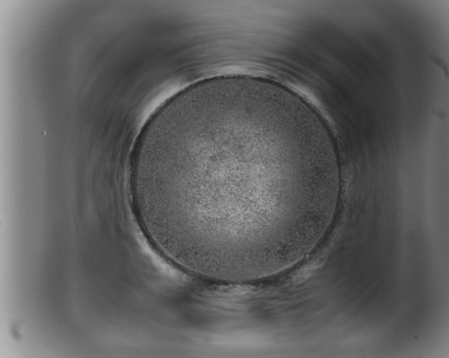 X0000099530991200805231058