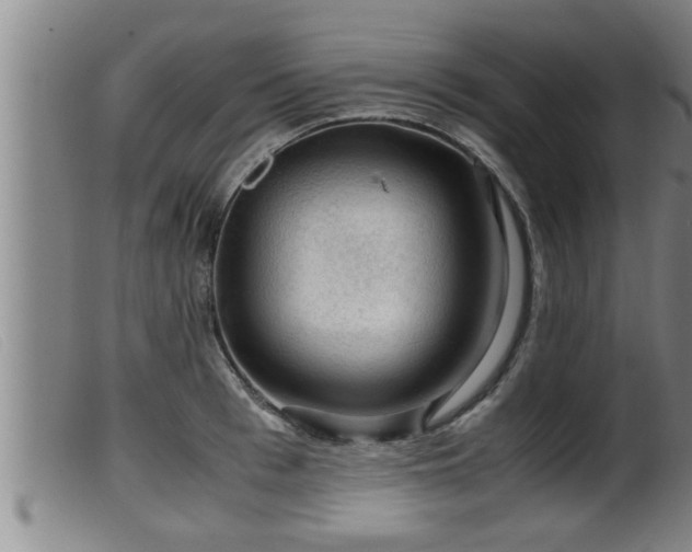 X0000099530993200805231058