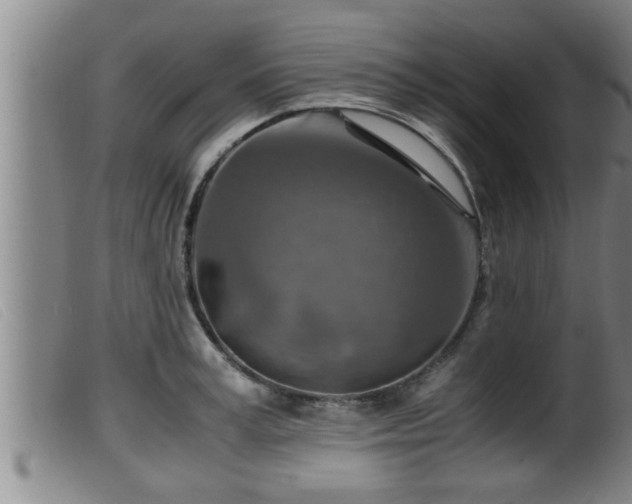 X0000099530995200805231057