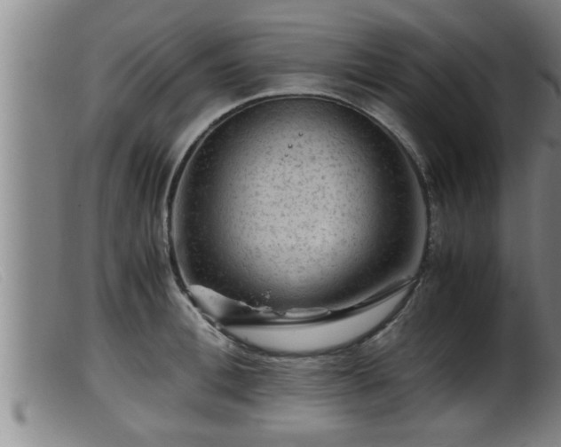 X0000099530996200805231057