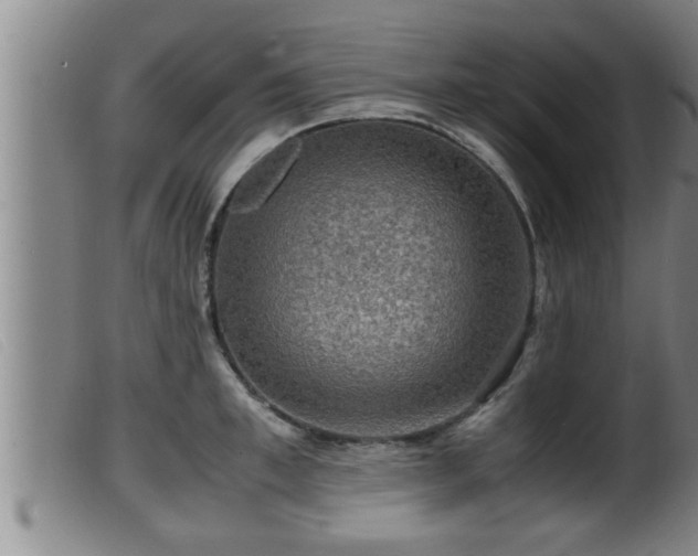 X0000099530997200805231057