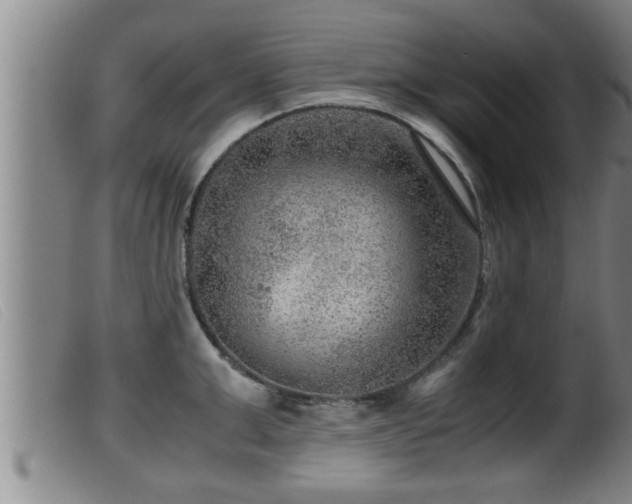 X0000099530999200805231057