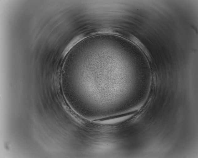 X0000099531002200805231057