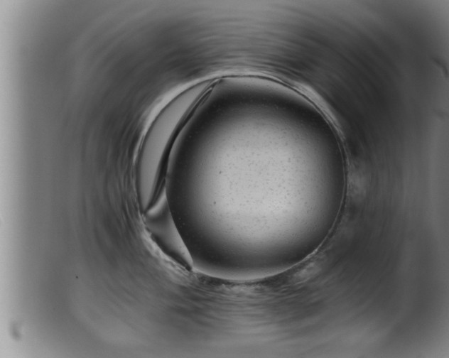 X0000099531004200805231057