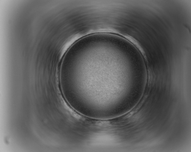 X0000099531006200805231057