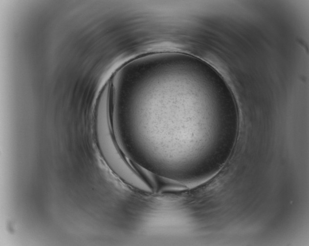 X0000099531008200805231057