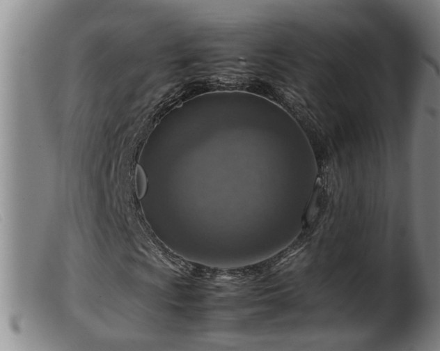 X0000099531009200805231057