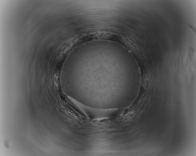 X0000099531010200805231057