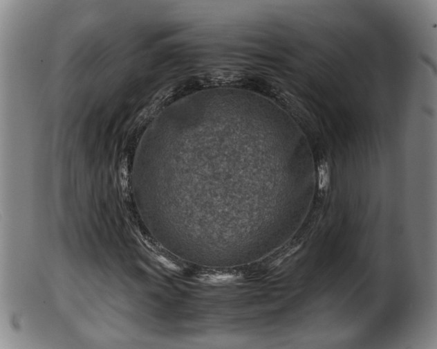 X0000099531011200805231057