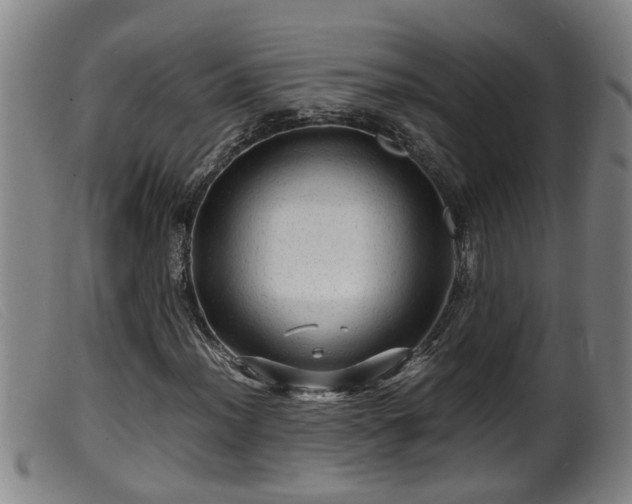 X0000099531012200805231057