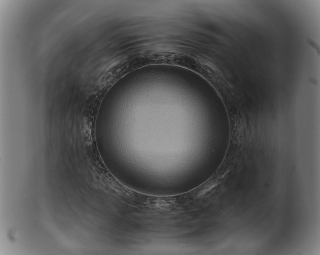 X0000099531013200805231057