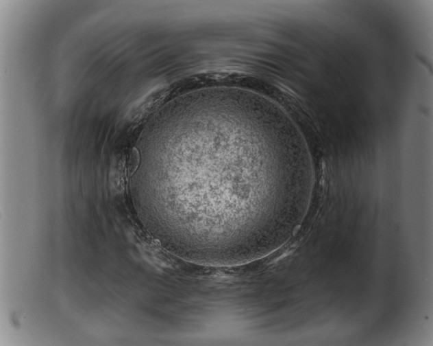 X0000099531014200805231057