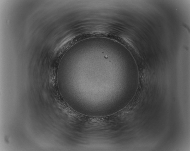 X0000099531015200805231057