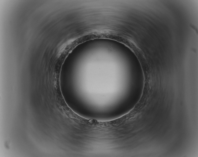 X0000099531016200805231057