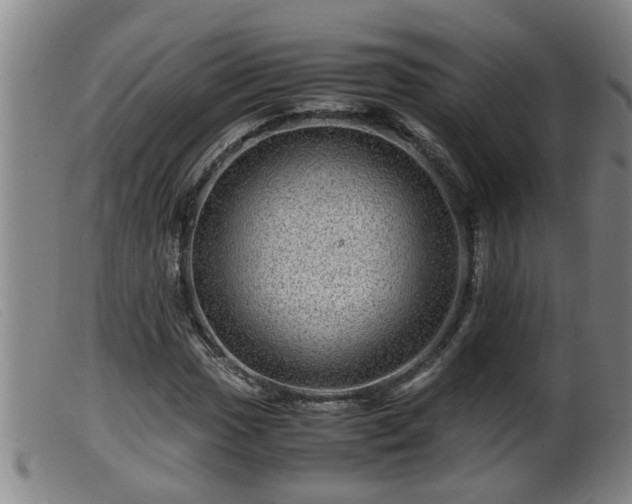X0000099531017200805231057
