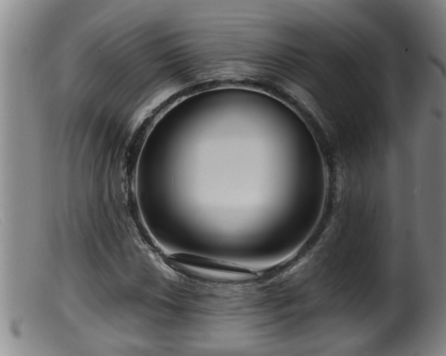 X0000099531018200805231057