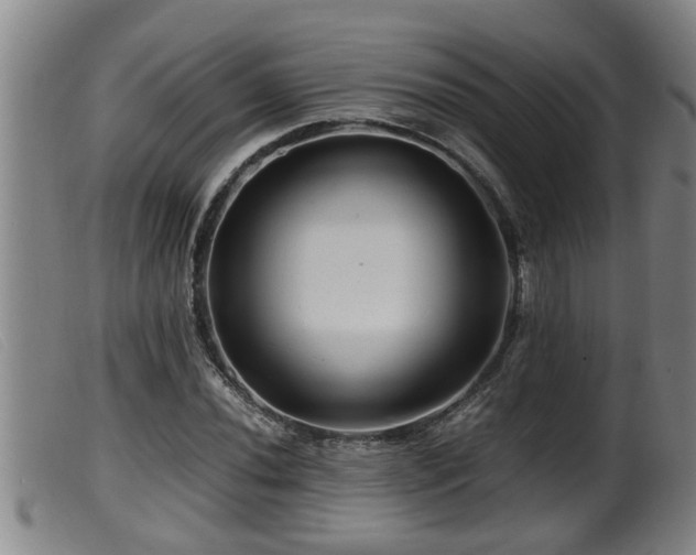 X0000099531020200805231057