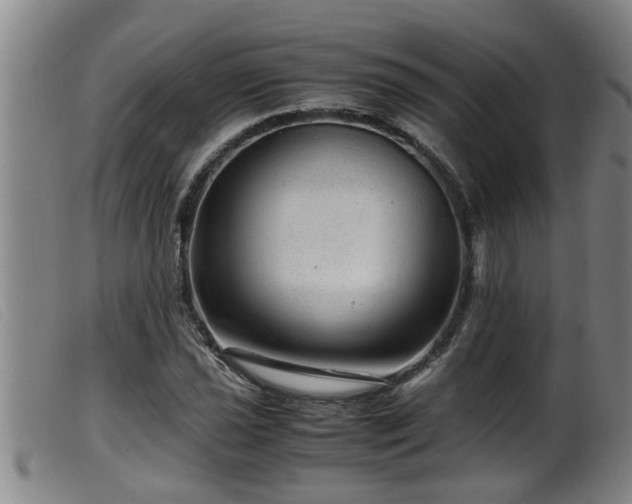 X0000099531021200805231057