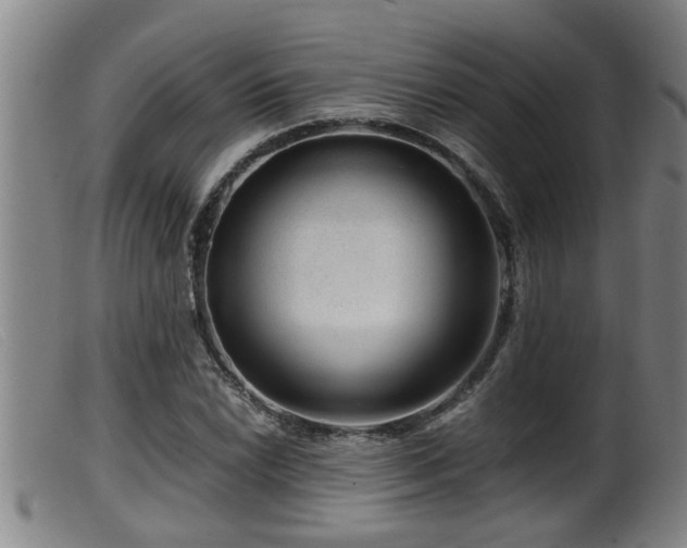 X0000099531022200805231057