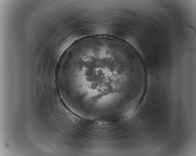 X0000099531023200805231057