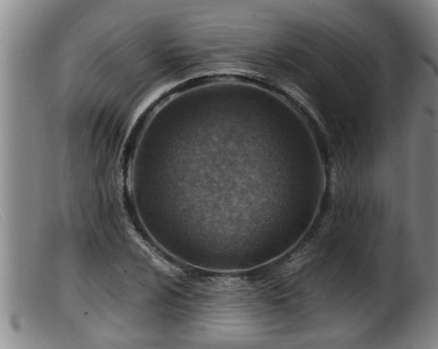 X0000099531024200805231057