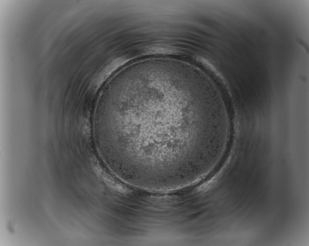 X0000099531025200805231057