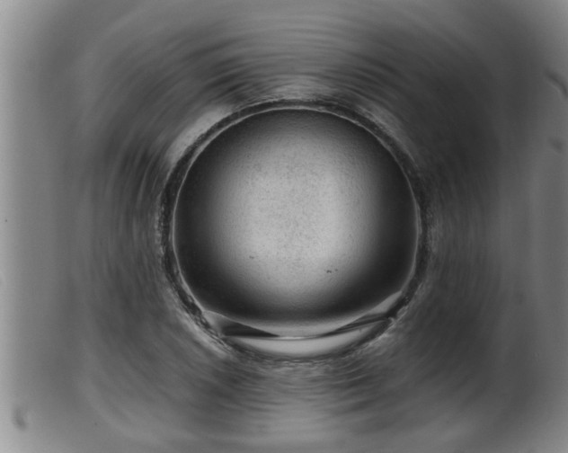 X0000099531026200805231057