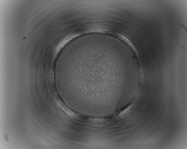 X0000099531027200805231057
