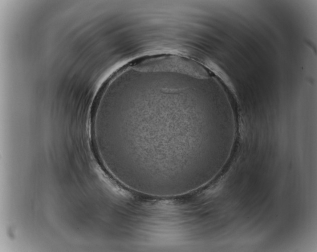 X0000099531028200805231057