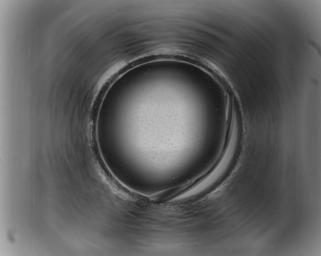 X0000099531029200805231057