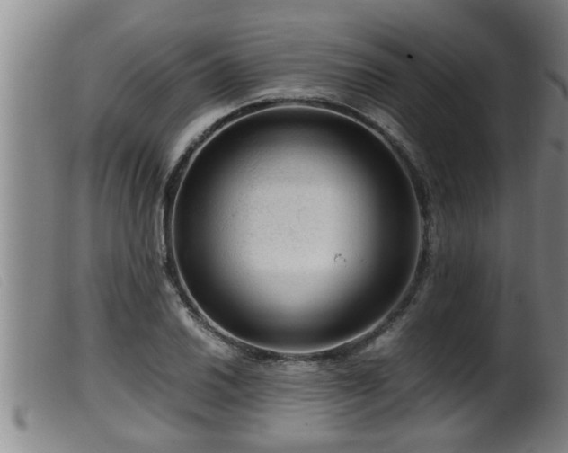 X0000099531030200805231057