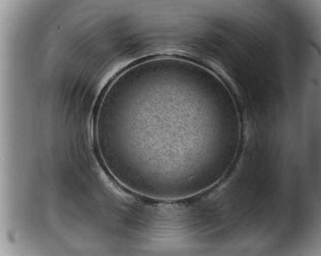 X0000099531032200805231057