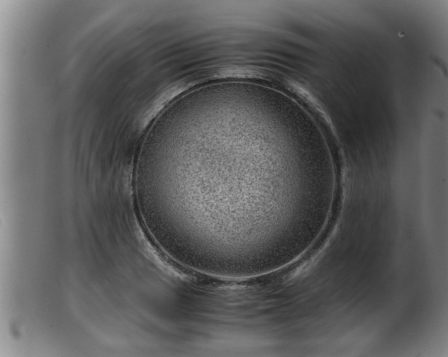 X0000099531033200805231057
