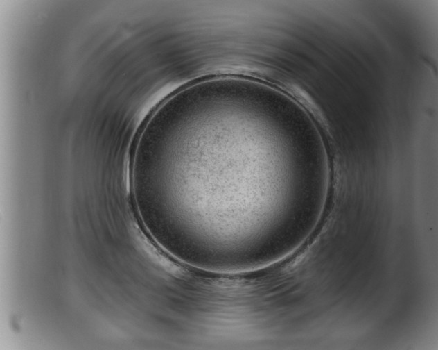 X0000099531036200805231057