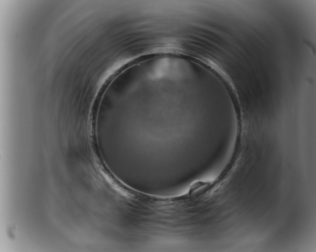 X0000099531037200805231057