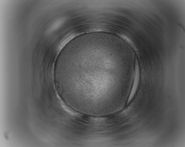 X0000099531039200805231057