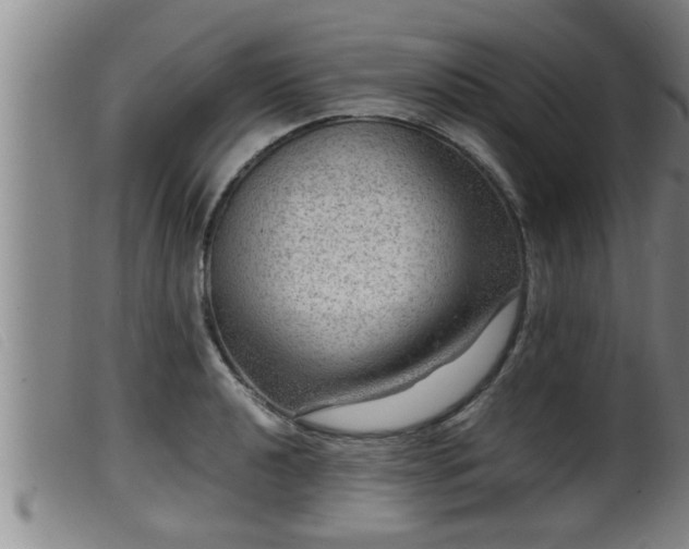 X0000099531040200805231057