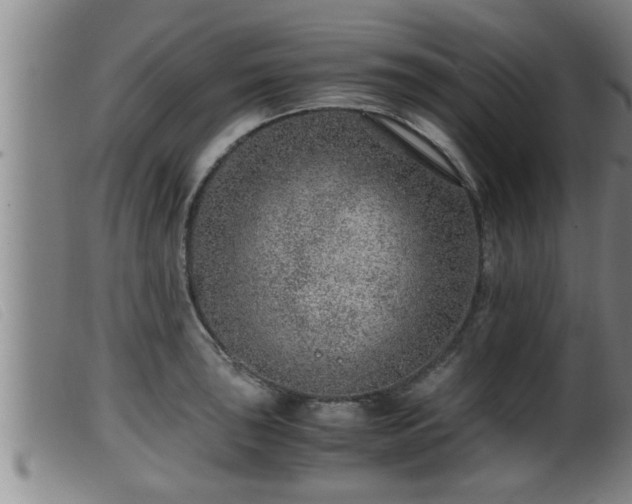 X0000099531043200805231057