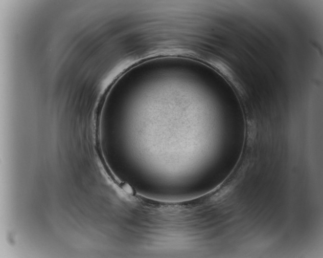 X0000099531046200805231057