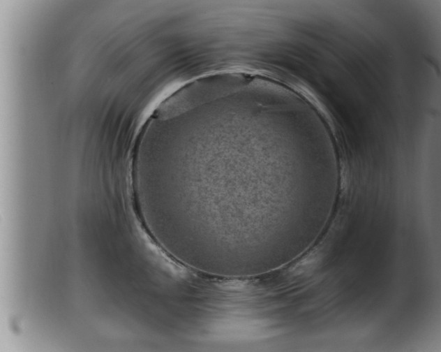X0000099531048200805231057
