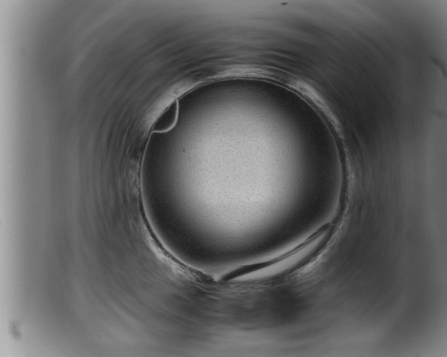 X0000099531049200805231057