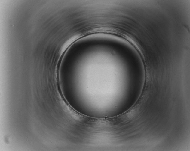X0000099531050200805231057