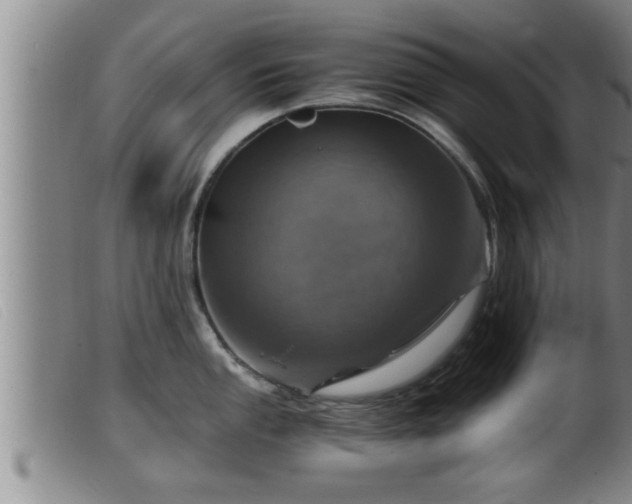 X0000099531053200805231057