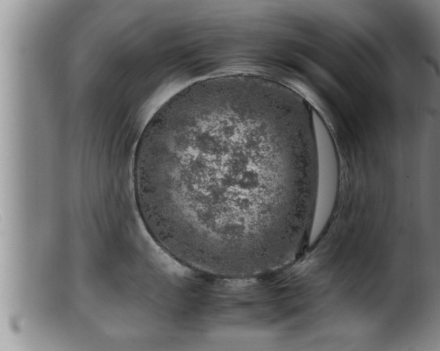 X0000099531055200805231057