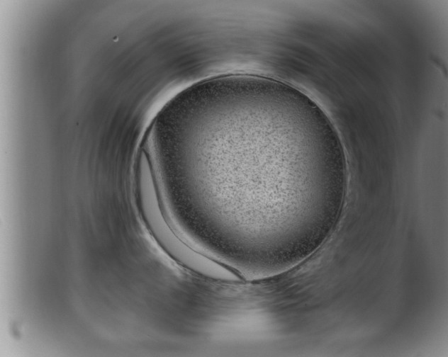 X0000099531056200805231057